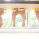 Illustration for article titled Montana Woman Gives Birth to Terrifying Identical Triplets